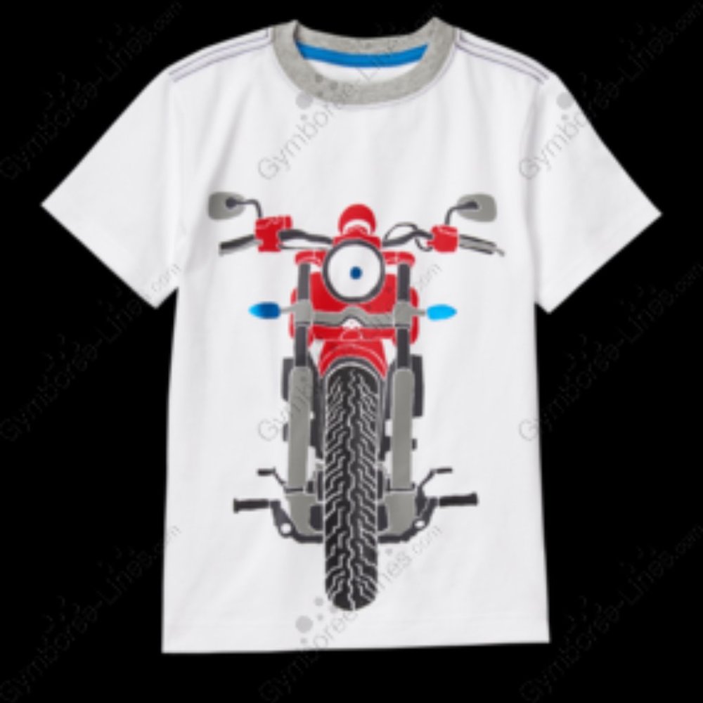 Gymboree 2016 Cozy Valentine SS t-shirt